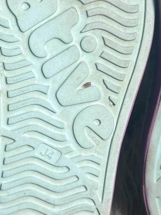 Native Jefferson Lightweight Mint Green Slip-On Lavender Sole Sneaker Size J4 - Picture 8 of 9